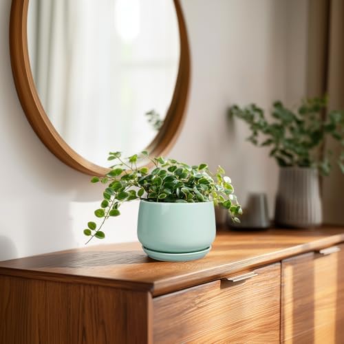 G EPGardening Ceramic Plants Pots - 4 inch Plant Pots Indoor Outdoor, Small Succulent Planter with Drainage Hole & Tray, Modern Flower Pot, Round Decorative Planters, Office Decor, Garden Gift, Green - Image 3