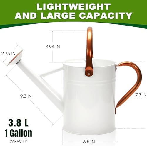 Metal Watering Can with Removable Spout, Galvanized Watering Can, Perfect for Indoor Use and for Outdoor Use (1 Gallaon, White) - Image 2