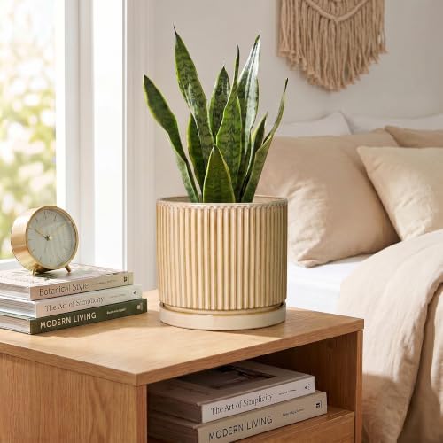 Ceramic Planter, 6 Inch Plant Pot, Pots for Plants with Tray, Beige - Image 4