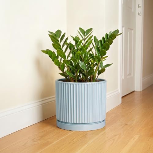 10 Inch Plant Pot, Ceramic Pots for Plants with Tray, Light Blue - Image 6