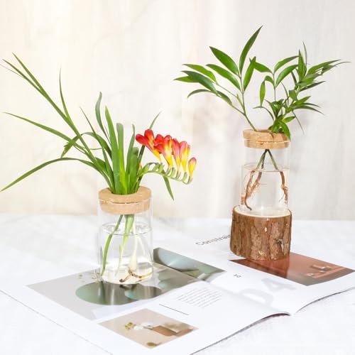 Separated Desktop Glass Flower Vases with Wooden Saucers - Ideal Plants Propagation Stations for Living Room, Bedroom Decoration,Home Decor (9) - Image 3