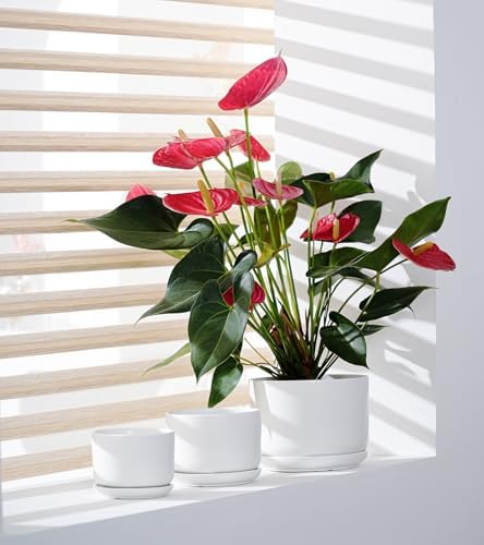White Plant Pots,Ceramic Flower Pots Set of 3 with Drainage Holes(Matte) - Image 4