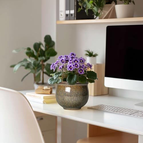 Self Watering Planters for Indoor Plants, 6 Inch Ceramic African Violet Pots with Absorbent Inner Pot, Ceramic Plant Pot, Round Flower Pots, Bathroom Decor, Housewarming Gifts, Yellowish Brown - Image 3