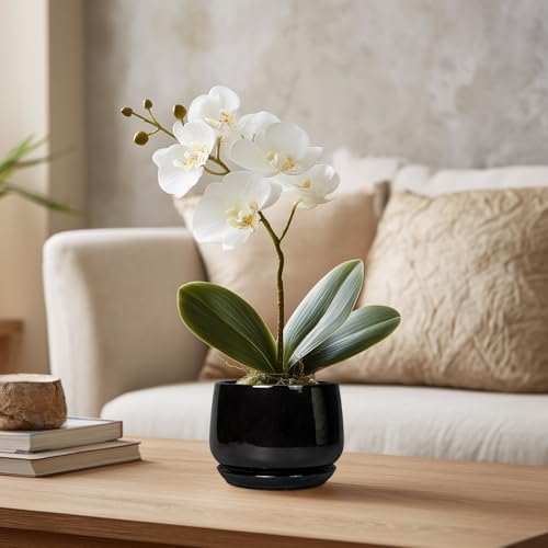 G EPGardening Small Ceramic Planter - 4 Inch Succulent Pots with Drainage Hole & Sacuer, Flower Pots for Indoor Outdoor Plants, Modern Decorative Round Planter, Room Decor, House Warming Gifts, Black - Image 5
