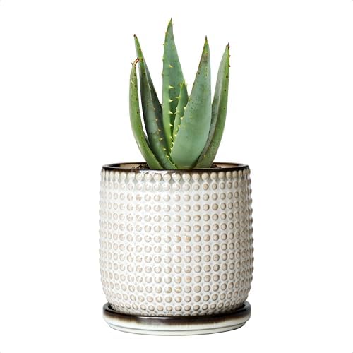 D'vine Dev Beaded Ceramic Pot with Saucer, 4 in, Smoked White, 27-C-Z-1 by DvineDevPlanterPotsandStand
