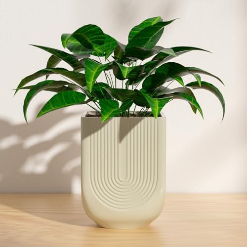 Ceramic Planter, 6 Inch Square Plant Pot with Drainage, Ivory by XiHuaer