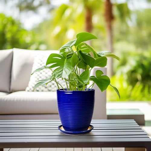 Round Ceramic Planter - Modern 8 Inch Plant Pot with Drainage Hole and Tray for Flower Indoor Outdoor Garden Decor Blue - Image 6