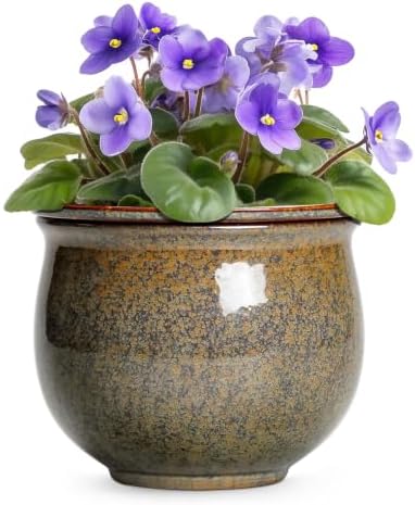 Ceramic Self Watering Pots, 8 Inch Ceramic Planter, Yellowish Brown by Teagas