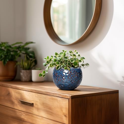 Ceramic Pots for Plants - 4 Inch Plant Pots for Indoor Outdoor, Small Planter with Drainage Hole, Unique Flower Pot, Decorative Modern Round Planter, Office Decor, Home Gifts, Retro Blue - Image 6