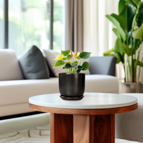 Ceramic Pot for Plants 5 Inch - Modern Round Indoor Planter for Cactus Succulent Plants with Drainage Hole and Saucer, Home Room House Office Decor, Black - Image 5