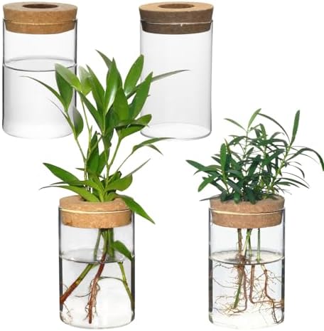 Separated Desktop Glass Flower Vases - Ideal Plants Propagation Stations for Living Room, Bedroom Decoration,Home Decor (4) by wangsdjy
