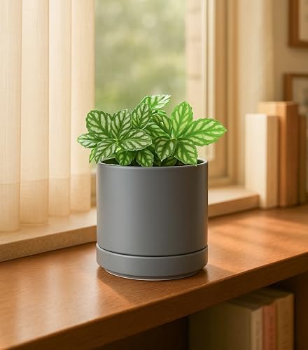 D'vine Dev 4.7 Inch Ceramic Planter Pot, Grey, 94-O-B-3 - Image 2