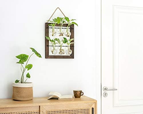 Mkono Plant Propagation Station, Wall Hanging 2-Layer Glass Terrarium Vases - Image 3