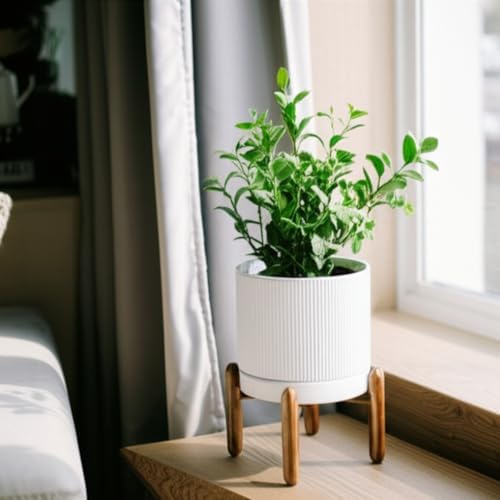 HERDUK 8 Inch Ceramic Planter with Natural Wood Stand w/Drainage & Saucer - Modern Indoor Planter for Cacti, Snake Plants & Aloe Vera - Image 5