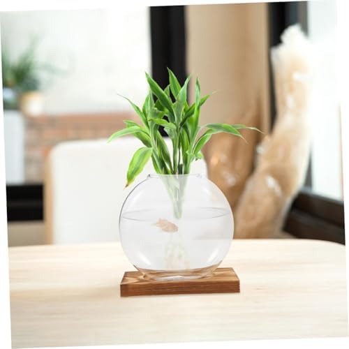 SMASOLO 2pcs Hydroponic Glass Vase with Wooden Terrarium Stand, Propagation Planter for Home and Office, Decorative Green Plant Desk Vase Set - Image 6