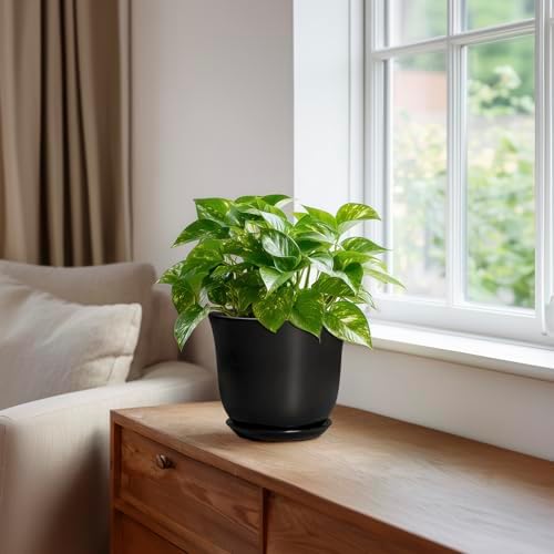 Ceramic Planter - 5.6 Inch Plant Pot for Indoor Outdoor, Round Succulent Pots with Drainage Hole and Saucer, Orchid Flower Pot, Modern Planter, Home Office Decor, House Warming Gifts, Black - Image 5