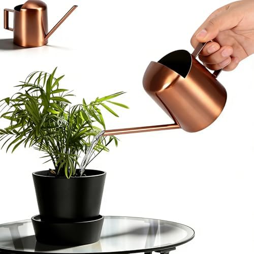 10oz/300ml Watering Can Indoor Plants, Long Spout Small Watering Sprinkling Pot Mini Stainless Steel Water Can Garden Water Pot for Indoor House Plants Bonsai by Cyrank