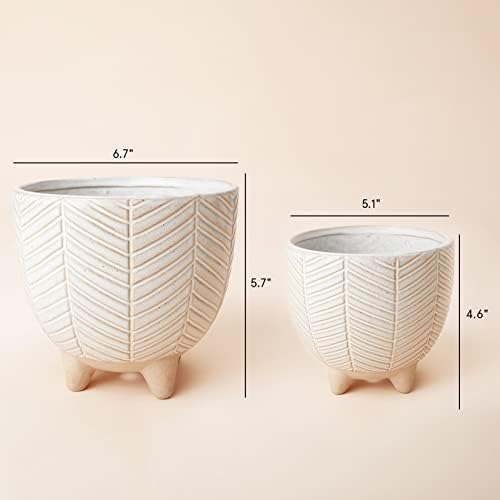 LA JOLIE MUSE Ceramic Plant Pots, Flower Pots for Indoor Plants, Set of 2 - Image 5