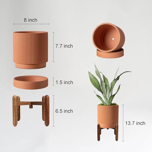 Large Terracotta Pots, 8 Inch Clay Planter Pots with Drainage Hole & Saucer (with Stand), Garden Planters for Indoor/Ourdoor Plants, Cactus & Snake Plant - Image 2