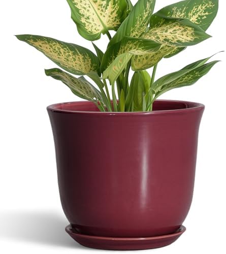 Ceramic Pots for Plants - 5.6 Inch Plant Pot for Indoor Outdoor, Round Succulent Orchid Pot with Drainage Hole and Saucer, Modern Small Planter, Window Office Desk Decor, Teacher Gifts, Red by SUNPOTFOR