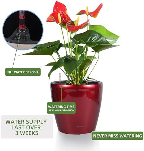 Dexceder 11x10 Self Watering Planter (Red High Gloss) - Image 5