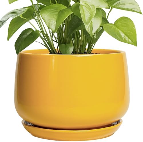 G EPGardening Ceramic Flower Pot - 9 Inch Plant Pots for Indoor Outdoor Plants, Round Ceramic Planter with Drainage and Plant Saucer, Modern Planter, Home Office Decor, Garden Gifts, Yellow by GEPGardening