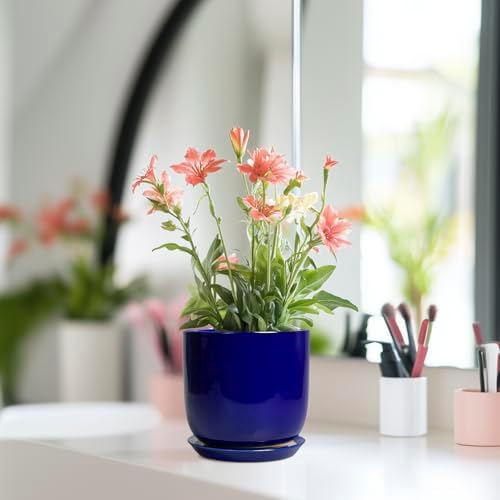 Succulent Pot 5 Inch - Modern Ceramic Planter for Indoor Plants with Drainage Hole and Saucer, Office Home Room Patio Decor, Blue - Image 6