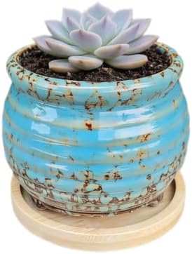 3.5 Inch Ceramic Succulent Planter Pot with Drainage Hole & Bamboo Tray - Mini Round Small Plant Pot for Indoor Desktop, Cactus Flower Container (Plant and Soil Not Included)，Blue by SJBAG