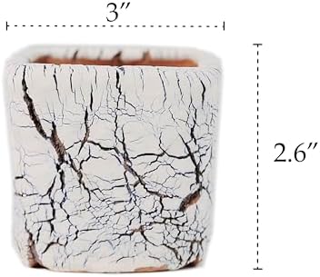Ceramic Planter Pots w/Drainage, 3 Inch Set of 2, Indoor Outdoor Home Patio Garden Plants Flower Succulent, Crackle-Texture Square - Image 2