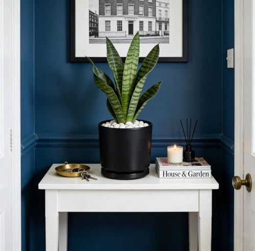 Ekirlin 7 inch Plant Pot Indoor - Black Ceramic Flower Planters - Modern Succulents Containers with Drain Hole & Saucer Tray, Garden Pots with Home Decorate, Office & Outdoor - Image 4