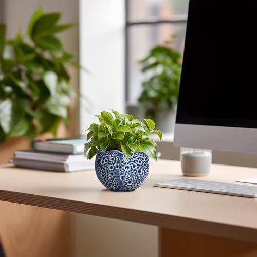 4 Inch Plant Pots - Small Ceramic Planter with Drainage Hole, Succulent Pots for Indoor Outdoor, Unique Round Planter, Modern Decorative Flower Pot, Desk Decor, Plant Lovers Gifts, Blue - Image 3