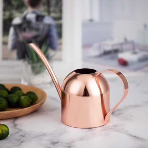 IMEEA Mini Indoor Watering Can for Small Plants, Stainless Steel with Long Spout, 15oz/450ml – Perfect for Desk, Windowsill & Bonsai - Image 5