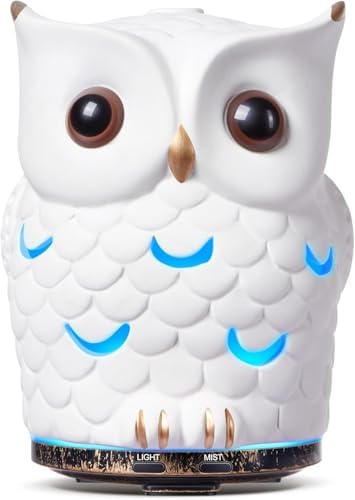 ALIEYE Owl Essential Oil Diffuser, 200ML Handmade Ceramic Aromatherapy Humidifier, Ultrasonic Cool Mist, 7-Color LED Night Light, Auto Shut-Off, White by ALIEYE