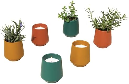 Modern Sprout - 2 in 1 Scented Candles w/Seeds that Grow into Plants -3 pk - Image 4
