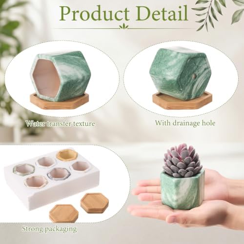 Ziliny Marbling Ceramic Flower Pot Succulent Small Plant Cactus Herbs Planter Ceramic Pot with Drainage Hole Matte Container (12 Pcs,Hexagon Style) - Image 3