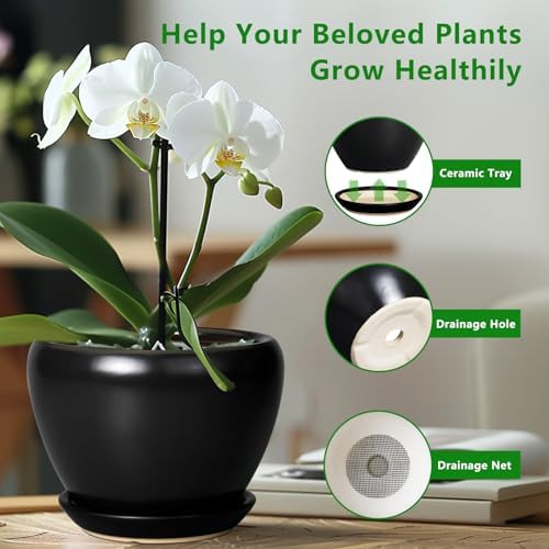 Ceramicfor Ceramic Planter Pot - 6 Inch Plant Pot with Drainage Hole and Saucer Round Planter for Indoor Plants Outdoor Succulent Pot Modern Flower Pot for Home Decor Black - Image 6