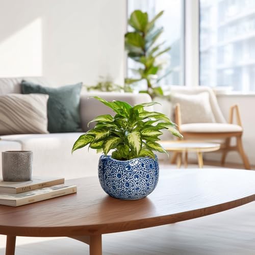 Orchid Pot - 6 Inch Ceramic Plant Pot for Indoor Outdoor, Round Unique Planters with Drainage Hole, Modern Round Decorative Flower Pots, Home Decor, Gifts for Plant Lovers, Blue - Image 6