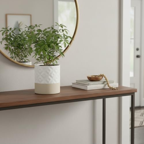 Nihow Ceramic Self Watering Plant Pot for Indoor Plants, 6 Inch,Cream White - Image 5