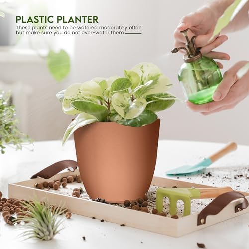 Plant Pots Indoor with Drainage, 5 Pack Multi-Size Planters Set, Terracotta - Image 6