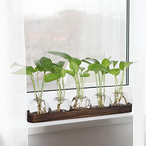 YIBOT Propagation Vases for Plants Terrarium with Wooden Tray,5 Glass Vases - Image 5