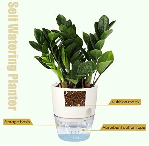 Vanavazon 6 Inch Self Watering Pots for Indoor Plants African Violet Pots - Image 3