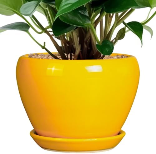 Ceramicfor Ceramic Pot for Plants - 6 Inch Plant Pot Glaze Modern Decorative Round Planter with Drainage Hole and Saucer for Home Patio Room Office House Decor, Yellow by Ceramicfor