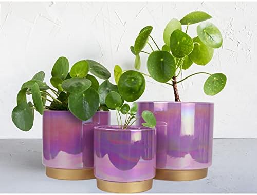 Gepege Ceramic Plant Pots for Indoor Plants, Planters with Drainage Holes - Image 4