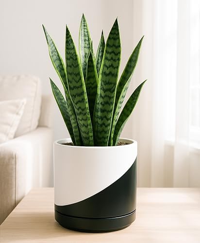 D'vine Dev 8.2 Inch Ceramic Planter Pot, Black White Diagonal, 94-O-D-K - Image 3