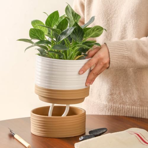 HASENSE Self Watering Plant Pot, 6 Inch Porcelain Planter with Drainage Hole and Saucers for Indoor & Outdoor Plants, Round Flower Pots for Houserwarming Gift, White - Image 3