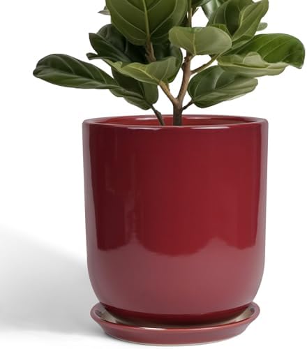 Ceramic Planter for Plants - 10 Inch Plant Pot Indoor with Drainage Hole and Saucer Modern Large Outdoor Planter Flower Pot for Home Decor Red by SUNPOTFOR
