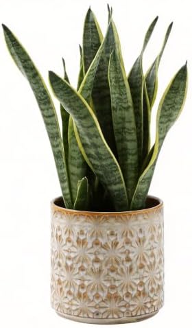 Ceramic Planter Ceramic Plant Pot, 5.3 Inch Small Planter with Unique Glaze, Home Decor Indoor Outdoor Flower Pot for Succulents Cactus Herbs, Living Room Office Decoration Farmhouse No drainage hole by JINNTHE