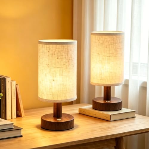 CHLORANTHUS 2 Pack Rechargeable Cordless Table Lamp – 4000mAh Battery Bedside Lamp, Mini Touch Control Dimmable LED Light with 3 Color Modes by CHLORANTHUS