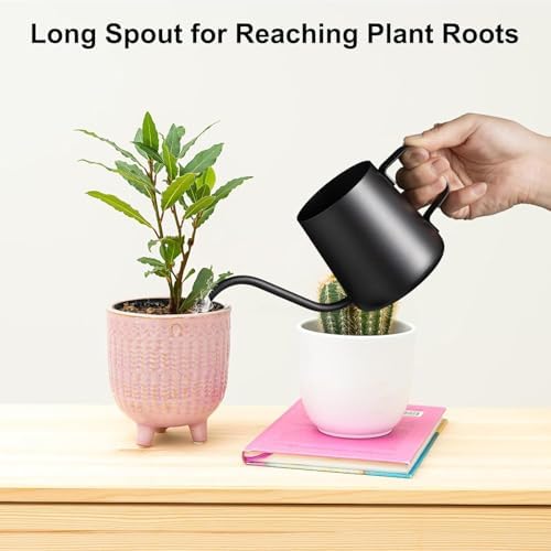 Watering Can Indoor Plants, Small Plant Watering Can, 12 oz, Black - Image 2