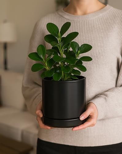 D'vine Dev 6.5 Inch Ceramic Planter Pot, Black, 94-O-C-2 - Image 2